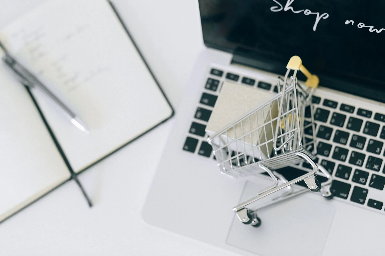 Online store owner researching products for Amazon